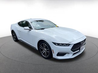 Used 2024 Ford Mustang Premium image 1