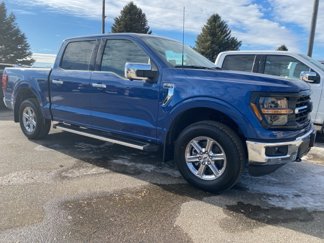 New 2025 Ford F150 XLT w/ Equipment Group 302A MID image 1