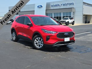 Used 2024 Ford Escape Active w/ Cold Weather Package image 1
