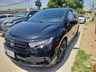 Used 2024 Honda Odyssey Sport image 1