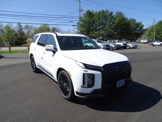 New 2025 Hyundai Palisade Calligraphy image 1