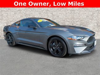 Used 2023 Ford Mustang Coupe w/ Equipment Group 101A image 1