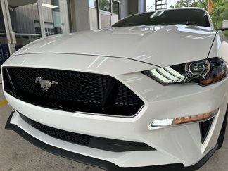 Certified 2023 Ford Mustang GT Premium w/ Equipment Group 401A image 1