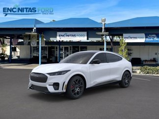 New 2025 Ford Mustang Mach-E GT w/ Interior Protection Package image 1