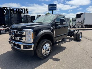 New 2025 Ford F550 4x4 Regular Cab Super Duty image 1
