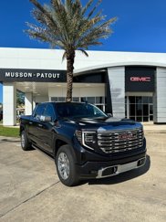 New 2025 GMC Sierra 1500 Denali w/ Technology Package image 1
