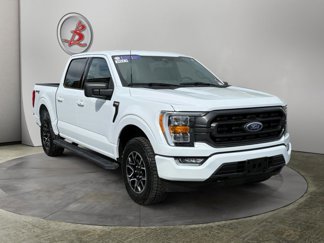 Used 2023 Ford F150 XLT w/ Equipment Group 302A High image 1