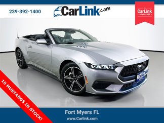 Used 2024 Ford Mustang Premium image 1