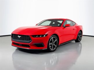 Used 2024 Ford Mustang Coupe image 1