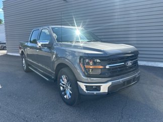 New 2025 Ford F150 XLT image 1