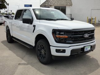 New 2025 Ford F150 XLT image 1