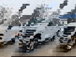 New 2025 Ford F150 XLT w/ Equipment Group 301A Standard image 1