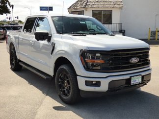 New 2025 Ford F150 XLT w/ Equipment Group 302A MID image 1