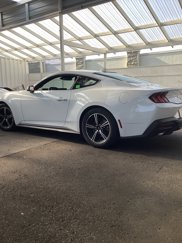 Used 2024 Ford Mustang Coupe image 1