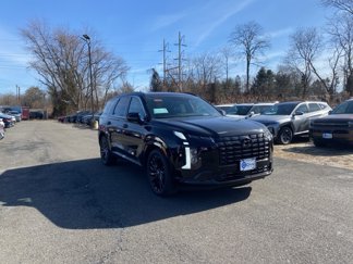 New 2025 Hyundai Palisade Calligraphy image 1