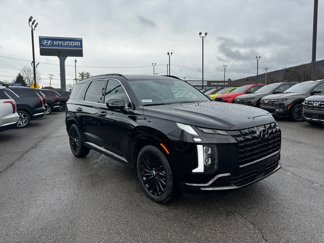 New 2025 Hyundai Palisade Calligraphy image 1
