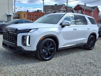 New 2025 Hyundai Palisade XRT image 1