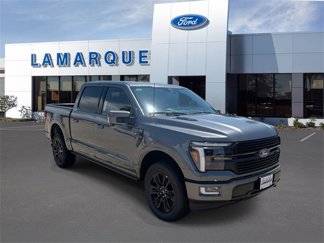 New 2025 Ford F150 Platinum image 1