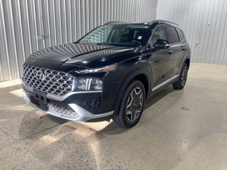 Used 2023 Hyundai Santa Fe Limited image 1
