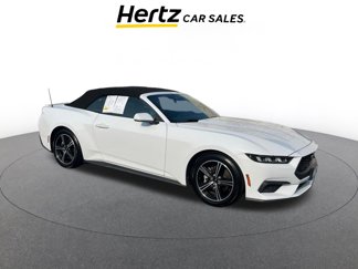 Used 2024 Ford Mustang Premium image 1