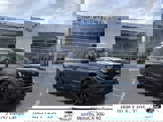 New 2025 Ford Expedition Max Platinum w/ Stealth Appearance Package image 1