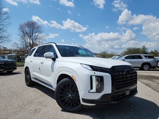 New 2025 Hyundai Palisade Calligraphy image 1