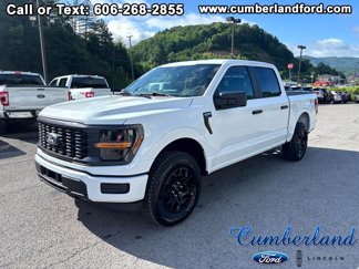 New 2025 Ford F150 STX image 1