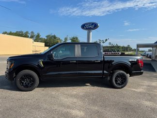 New 2025 Ford F150 STX image 1