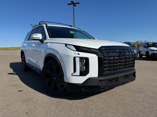 New 2025 Hyundai Palisade XRT image 1