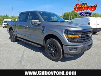 New 2025 Ford F150 XLT image 1