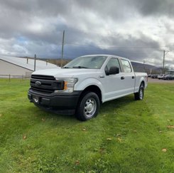 Used 2019 Ford F150 XL w/ XL Power Equipment Group image 1