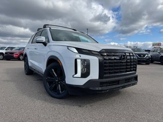New 2025 Hyundai Palisade XRT image 1