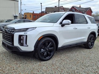 New 2025 Hyundai Palisade XRT image 1
