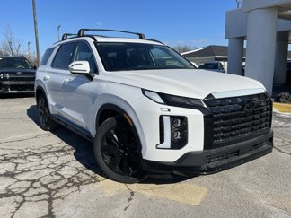 New 2025 Hyundai Palisade XRT image 1