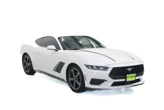 Used 2024 Ford Mustang Coupe image 1
