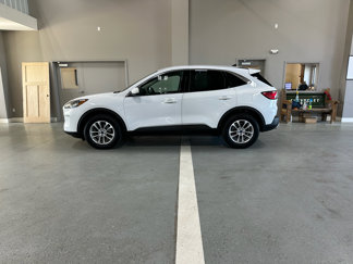 Used 2020 Ford Escape SE image 1