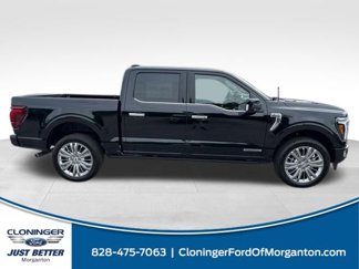 New 2025 Ford F150 Platinum w/ Equipment Group 703A Plus image 1