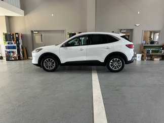 Used 2022 Ford Escape SE image 1