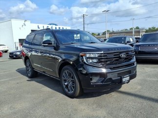 New 2025 Ford Expedition Platinum image 1
