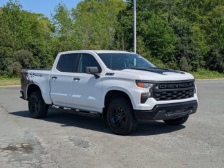 Used 2023 Chevrolet Silverado 1500 Custom Trail Boss w/ Realtree Special Edition image 1