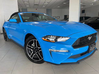 Used 2023 Ford Mustang Premium image 1