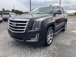 Used 2016 Cadillac Escalade Luxury image 1