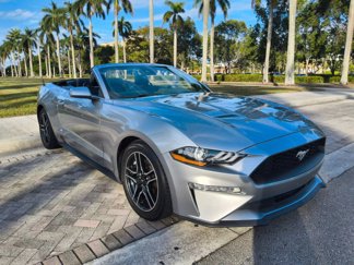 Used 2021 Ford Mustang Premium image 1