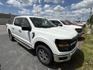 New 2025 Ford F150 XLT w/ Equipment Group 301A Standard image 1