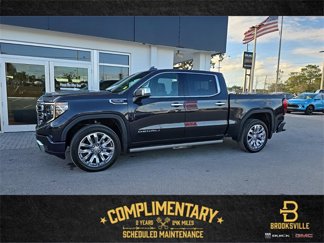 New 2025 GMC Sierra 1500 Denali image 1