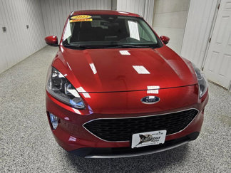 Used 2022 Ford Escape SEL image 1