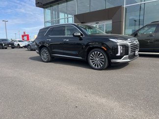 New 2025 Hyundai Palisade Calligraphy image 1