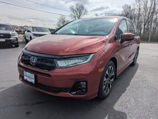 New 2025 Honda Odyssey Elite image 1