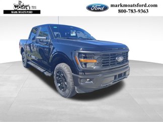 New 2025 Ford F150 STX image 1