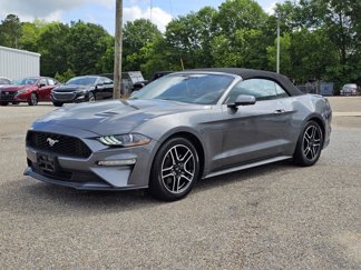 Used 2023 Ford Mustang Premium image 1